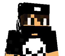 Insane_Shubh's skin