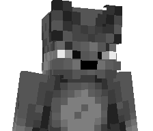 941N's skin