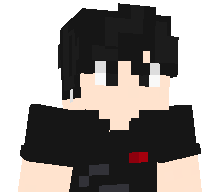 wlzx's skin
