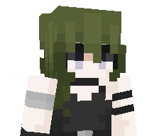 zWollyy's skin