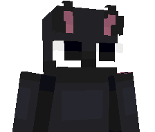 Sewier's skin