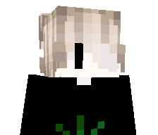 phnr's skin
