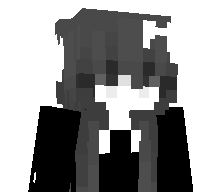 icn's skin