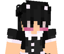 Solixxfr's skin