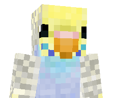 erbimex_'s skin