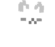 lrzz's skin