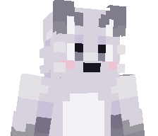 Toky0w0's skin