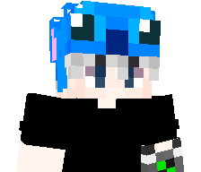 PixelSorMC's skin