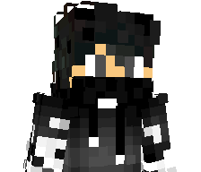 WVO11's skin