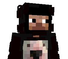 DBIVOL's skin