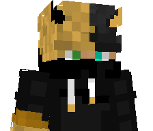 Kapuzenpullover_'s skin