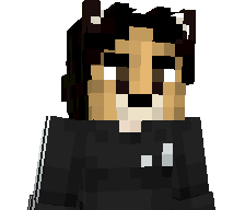 RaaLeeX's skin