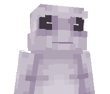 PR0PP's skin