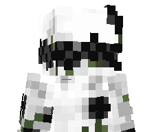 Pammboo's skin