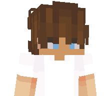 Thaiboxen's skin
