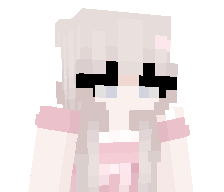 HeroDignity's skin