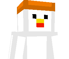 FunChickenLegs's skin