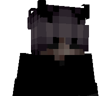 Langsamer's skin