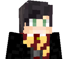 hesam_pro__HP's skin