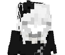 l2nr's skin