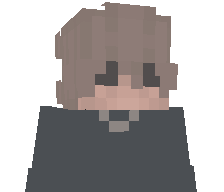 StrayToaster889's skin