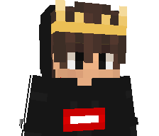 iiTzMeDrt's skin