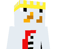 snowkig's skin