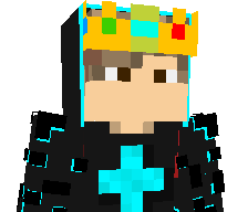 NinjaGaming138's skin