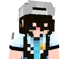 arixdjk's skin
