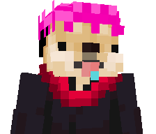 aCasualDoggo's skin