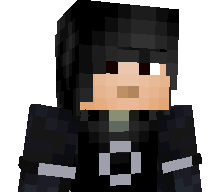 C2565's skin