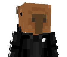 CapybaraPlay_'s skin