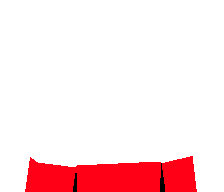 Stachenn's skin