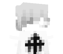 ssnoy's skin