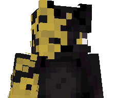 Arteryy's skin