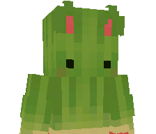 Fruits's skin