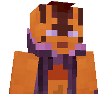 BebraM1gi's skin