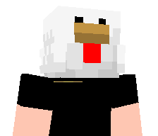 v1lz's skin