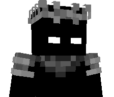 shnetsl13's skin