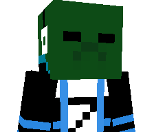 zgamer2024's skin