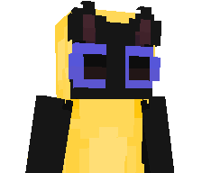 sek0z1's skin