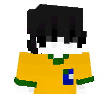 davizin0604's skin