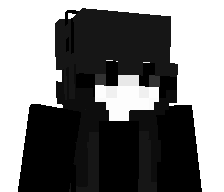 zwdh's skin