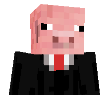 notrox1s's skin