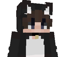 kasa_2025's skin