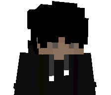 RL2013's skin