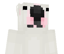 KuerbisAyri's skin