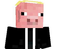 THMCochon's skin