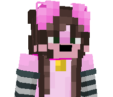 Stuntlover's skin