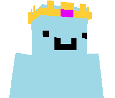 r4wxx's skin